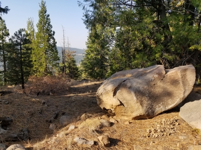 Remote Rural Experience In Northern, CA - image 1