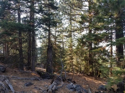 Remote Rural Experience In Northern, CA - image 15