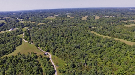 22.5+/- Ac.-Hunting Land-Timberland-Private-Willisburg, Ky. - image 5