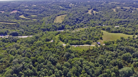 22.5+/- Ac.-Hunting Land-Timberland-Private-Willisburg, Ky. - image 7