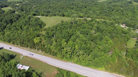 22.5+/- Ac.-Hunting Land-Timberland-Private-Willisburg, Ky. - image 3