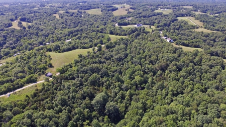 22.5+/- Ac.-Hunting Land-Timberland-Private-Willisburg, Ky. - image 6