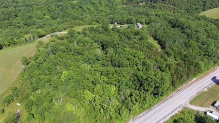 22.5+/- Ac.-Hunting Land-Timberland-Private-Willisburg, Ky. - image 9
