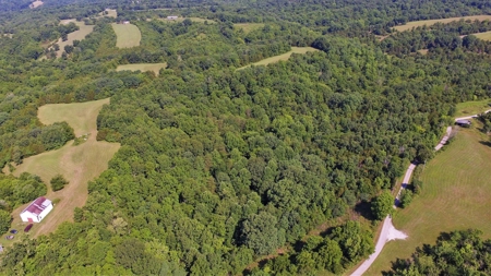 22.5+/- Ac.-Hunting Land-Timberland-Private-Willisburg, Ky. - image 8