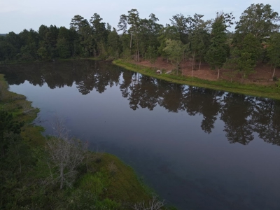 53+/- Acres For Sale In Atlanta, Tx - image 7
