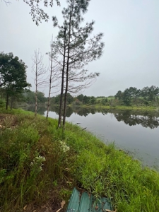 53+/- Acres For Sale In Atlanta, Tx - image 15