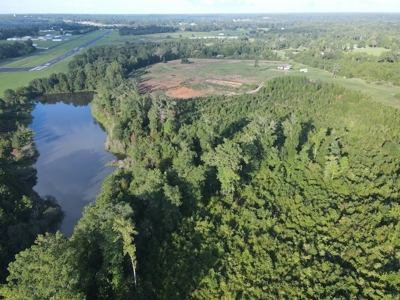 53+/- Acres For Sale In Atlanta, Tx - image 4