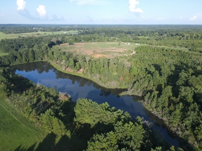53+/- Acres For Sale In Atlanta, Tx - image 5