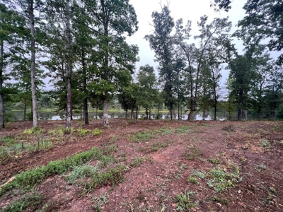 53+/- Acres For Sale In Atlanta, Tx - image 12