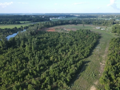53+/- Acres For Sale In Atlanta, Tx - image 3