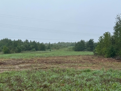 53+/- Acres For Sale In Atlanta, Tx - image 18