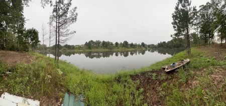 53+/- Acres For Sale In Atlanta, Tx - image 16