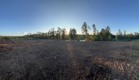 53+/- Acres For Sale In Atlanta, Tx - image 10