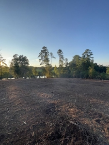 53+/- Acres For Sale In Atlanta, Tx - image 9