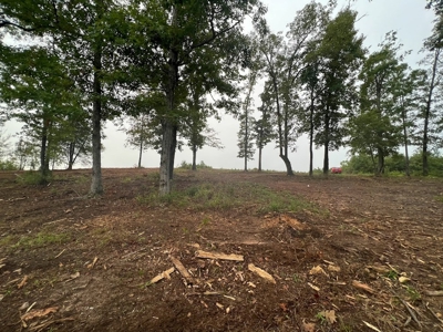 53+/- Acres For Sale In Atlanta, Tx - image 17