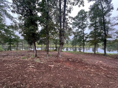 53+/- Acres For Sale In Atlanta, Tx - image 13