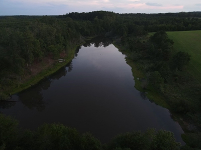 53+/- Acres For Sale In Atlanta, Tx - image 8
