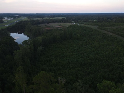 53+/- Acres For Sale In Atlanta, Tx - image 6