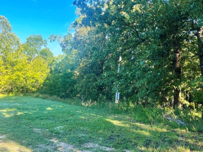 Acreage with shop for sale Sharp County, AR - image 10