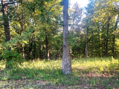 Acreage with shop for sale Sharp County, AR - image 11