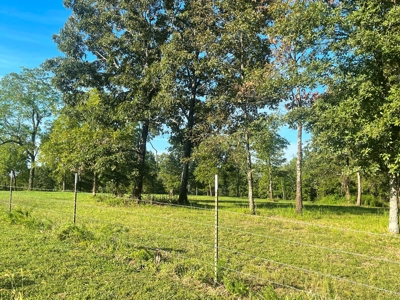 Acreage with shop for sale Sharp County, AR - image 3