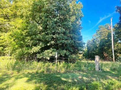 Acreage with shop for sale Sharp County, AR - image 39