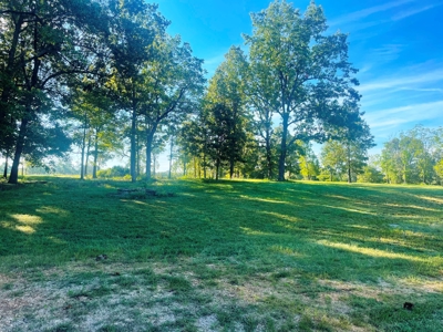 Acreage with shop for sale Sharp County, AR - image 21