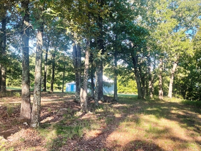 Acreage with shop for sale Sharp County, AR - image 7