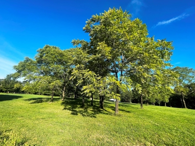 Acreage with shop for sale Sharp County, AR - image 31
