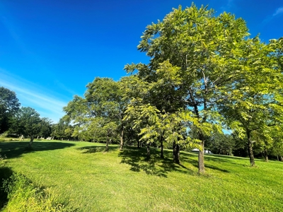 Acreage with shop for sale Sharp County, AR - image 32