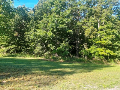 Acreage with shop for sale Sharp County, AR - image 13