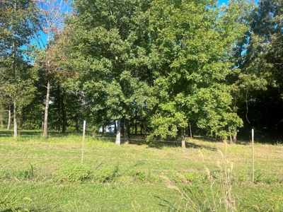 Acreage with shop for sale Sharp County, AR - image 37