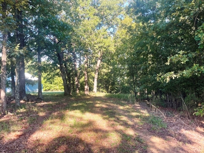 Acreage with shop for sale Sharp County, AR - image 6