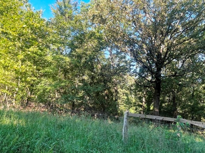 Acreage with shop for sale Sharp County, AR - image 40
