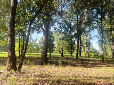 Acreage with shop for sale Sharp County, AR - image 4