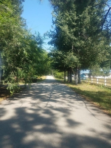 Lot In Heron Montana For Sale - image 2