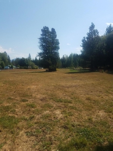 Lot In Heron Montana For Sale - image 7
