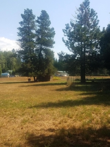 Lot In Heron Montana For Sale - image 4