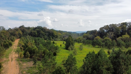 Private 34.61+- acres with Cherokee National Forest views - image 11
