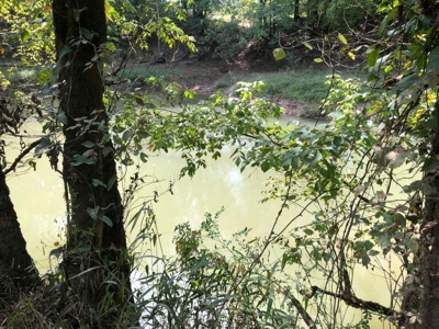 Private 34.61+- acres with Cherokee National Forest views - image 8