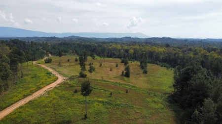 Private 34.61+- acres with Cherokee National Forest views - image 10