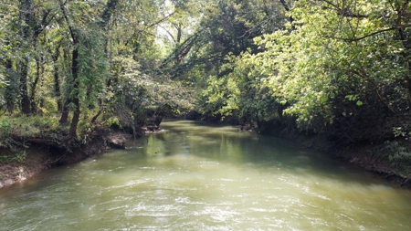 Private 34.61+- acres with Cherokee National Forest views - image 7