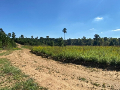 Private 34.61+- acres with Cherokee National Forest views - image 6