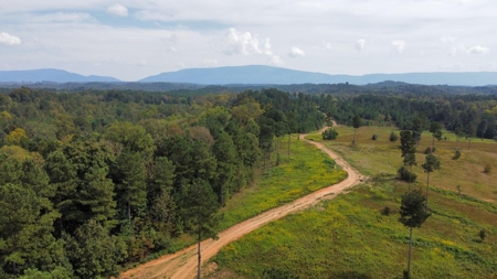 Private 34.61+- acres with Cherokee National Forest views - image 1