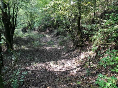 Private 34.61+- acres with Cherokee National Forest views - image 4