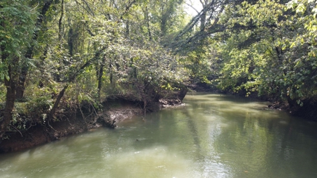 Private 34.61+- acres with Cherokee National Forest views - image 9