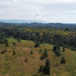 Private 34.61+- acres with Cherokee National Forest views - image 14