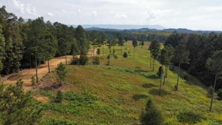 Private 34.61+- acres with Cherokee National Forest views - image 12