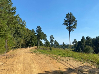 Private 34.61+- acres with Cherokee National Forest views - image 2