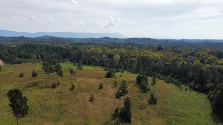Private 34.61+- acres with Cherokee National Forest views - image 13